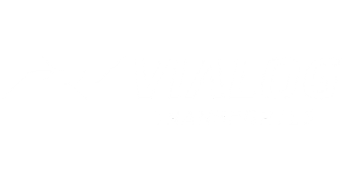 Logo Vialog